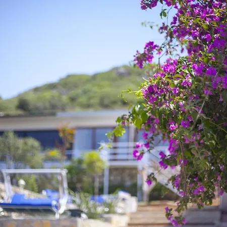 Peace Kaş